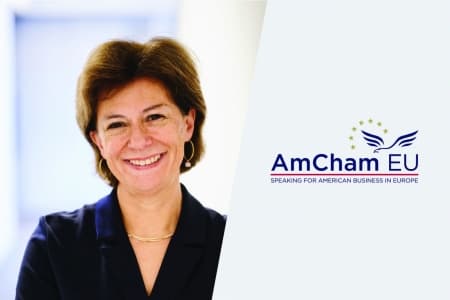 AmCham EU CEO Susan Danger to step down later this year