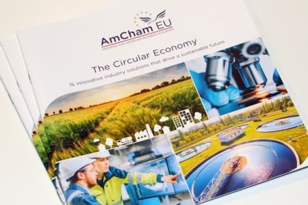 Reflections on Europe's circular economy