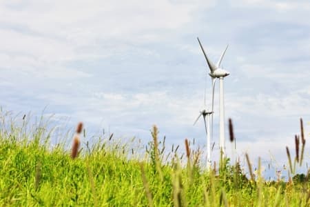 Reducing carbon footprint with IoT technology