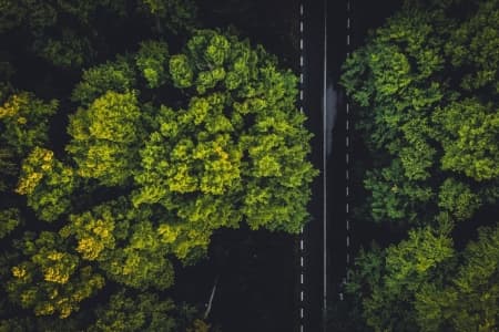 Joint business statement on the due diligence proposal