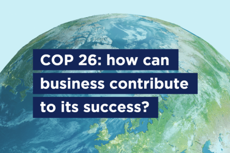 COP26: How Can Business Contribute To Its Success? | AmCham EU