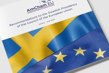 The Swedish Presidency and the twin transition