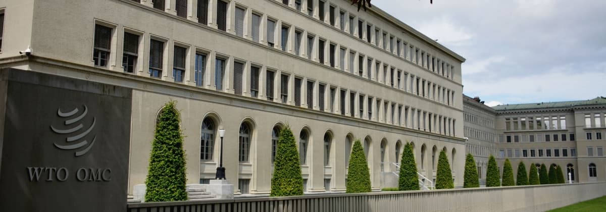 WTO ministerial: multilateralism remains critical but needs to deliver further results