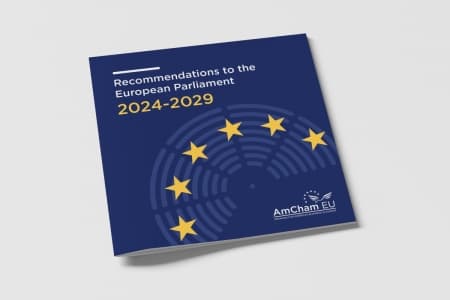 Recommendations to the European Parliament 2024-2029