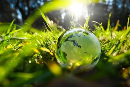 Financing the green transition