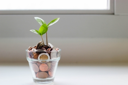 A plant growing in cup of coins to show sustainable finance